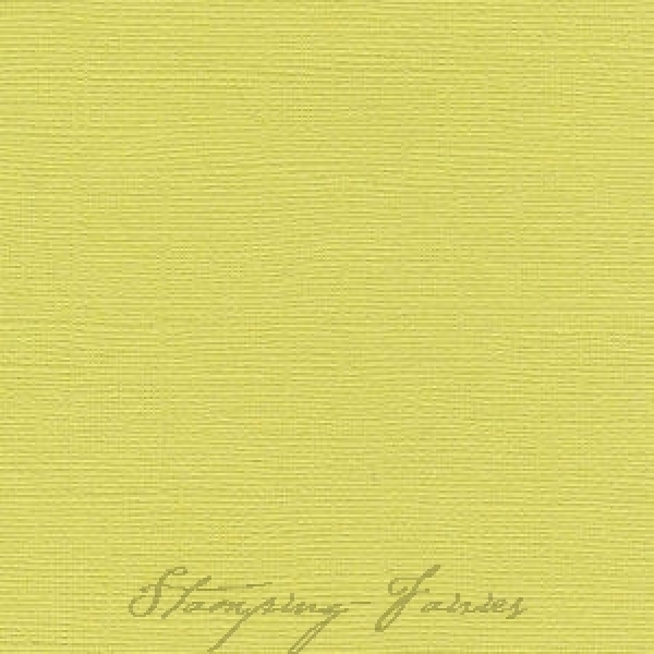 Bazzill Leinenstruktur CS "Lizard"